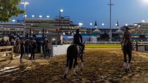 Kentucky Derby Byron King BloodHorse Derby Dozen Forte Angel of Empire Tapit Trice Verifying Derma Sotogake Mage Rocket Can Two Phil’s Kingsbarns Confidence Game Practical Move Skinner horse racing